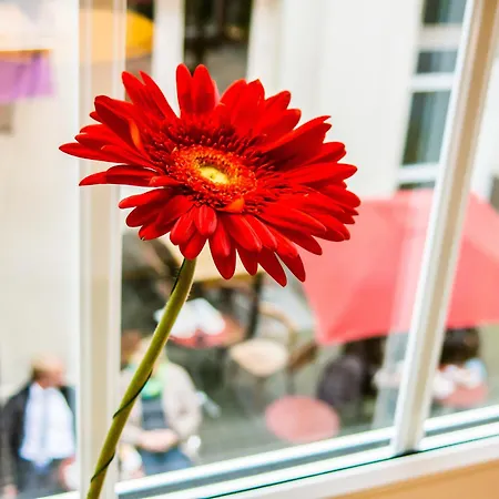 Soho Altstadt Urban Hotel 3*