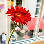 Soho Altstadt Urban Stay Ξενοδοχείο 3*