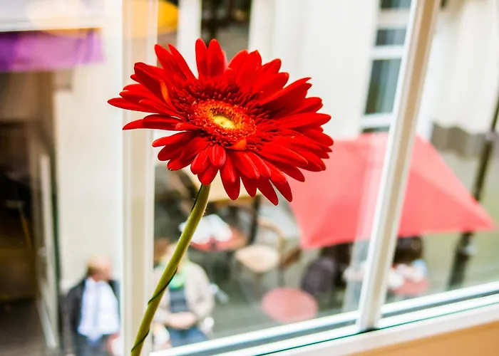 Soho Altstadt Urban Stay Hotell 3*